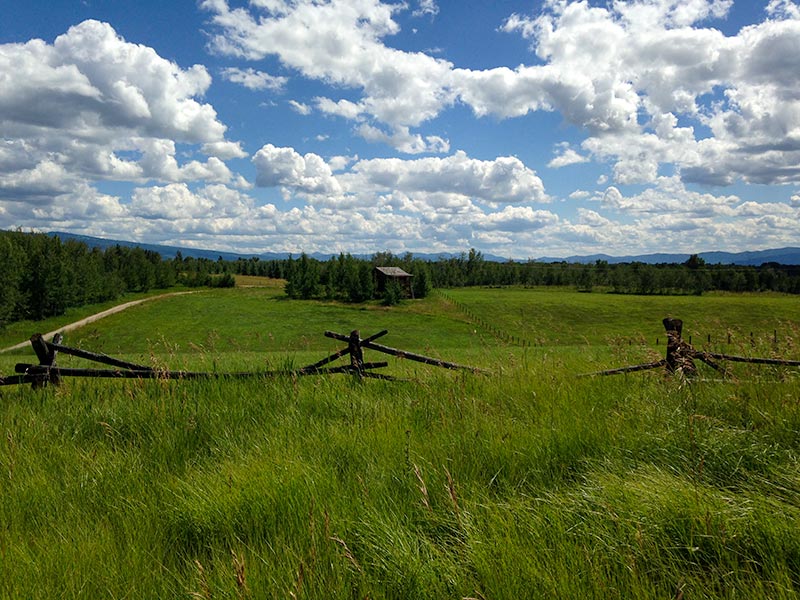 Colter Cabin from a distance in summer