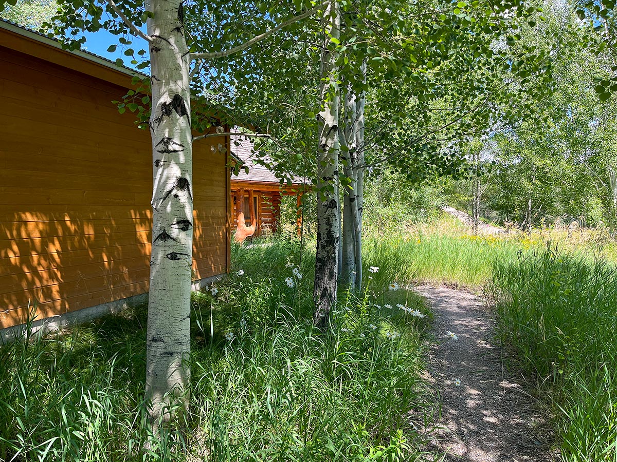 Colter Cabin walkway