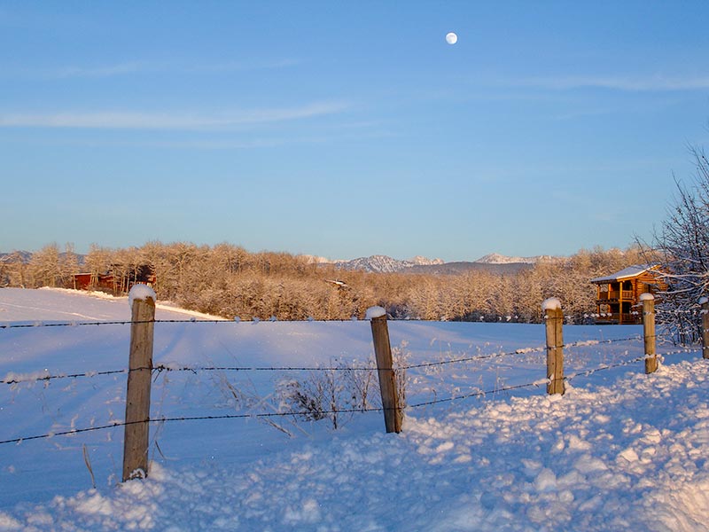 Sunny snow day at Colter Cabins