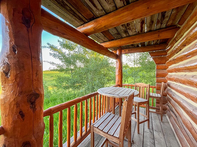 Colter Cabin porch view