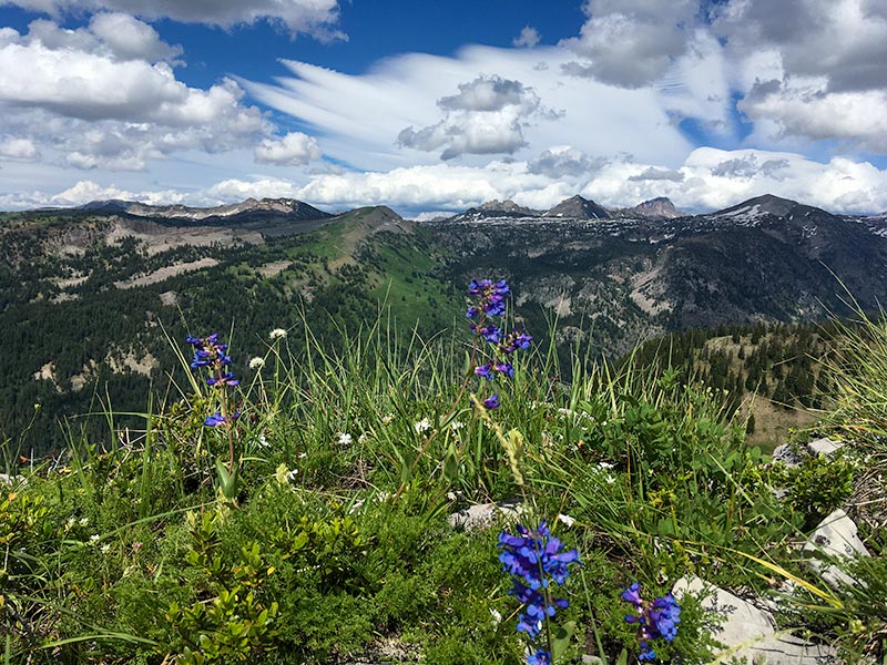 Summer hiking in the Tetons