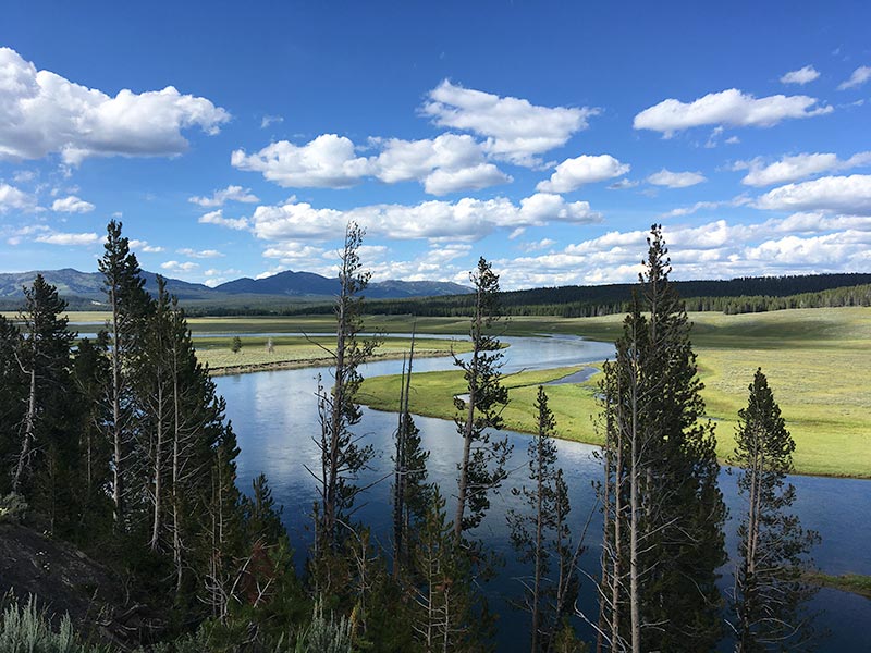 Yellowstone river view